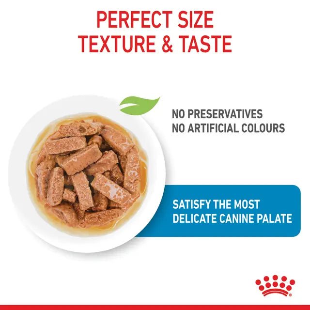 Royal Canin Maxi Gravy Wet Puppy Food 140g (10 PK) - Pet Supply